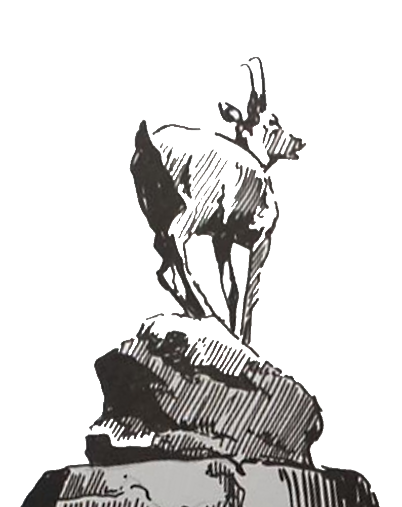 Karlovarské lázně